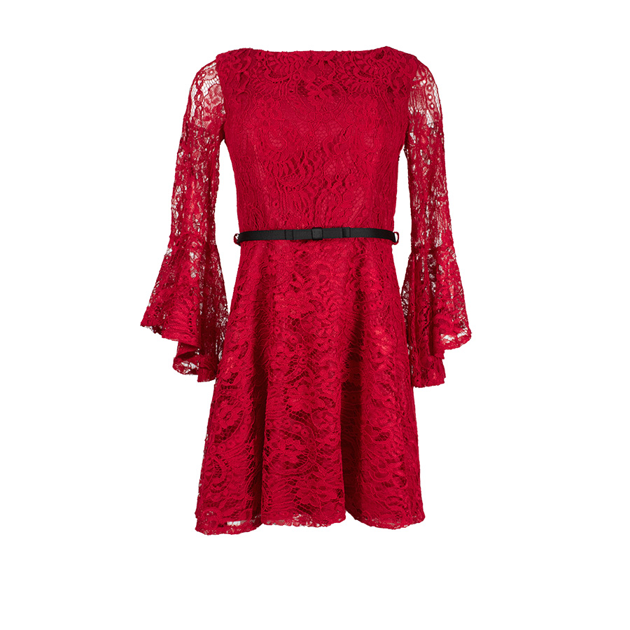 Red Lace Mini Dress With V-Back